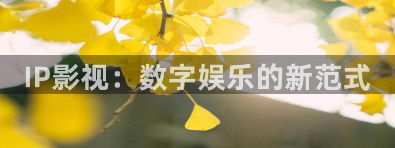 99视频精品全部国产：IP影视：数字娱乐的新范式