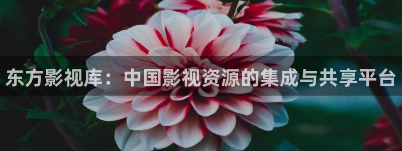 99视频在线观看免费：东方影视库：中国影视资源的集成与共享平台