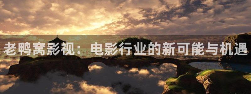 99视频网在线资源：老鸭窝影视：电影行业的新可能与机遇