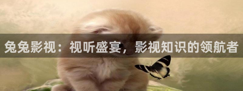 99视频精品全部免费16：兔兔影视：视听盛宴，影视知识的领航者