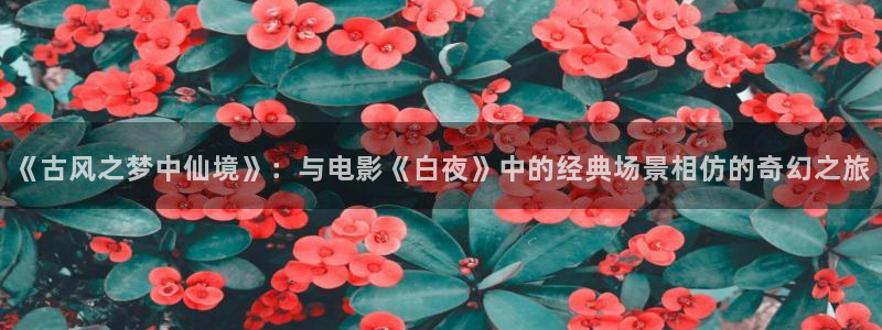 99视频69精品视频：《古风之梦中仙境》：与电影《白夜》中的经典场景相仿的奇幻之旅
