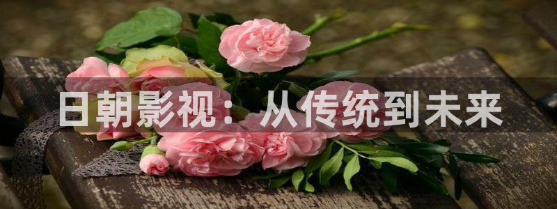 99视频1区：日朝影视：从传统到未来