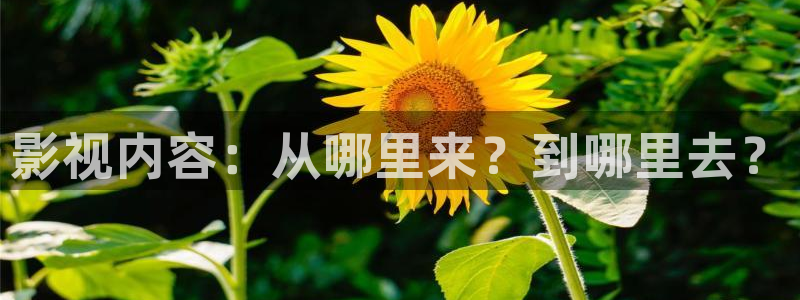 99视频精品免费视频：影视内容：从哪里来？到哪里去？