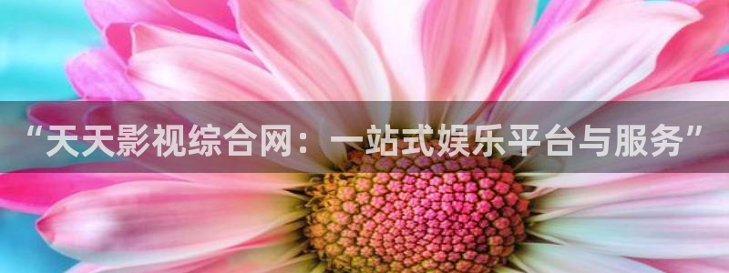 99视频免费网站：“天天影视综合网：一站式娱乐平台与服务”