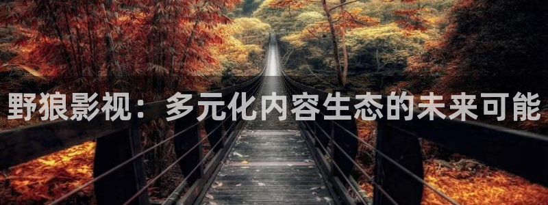 99视频精品视频在线：野狼影视：多元化内容生态的未来可能
